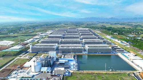 逐綠而行 河南加快構建廢棄物循環(huán)利用體系 投資興辦實業(yè)